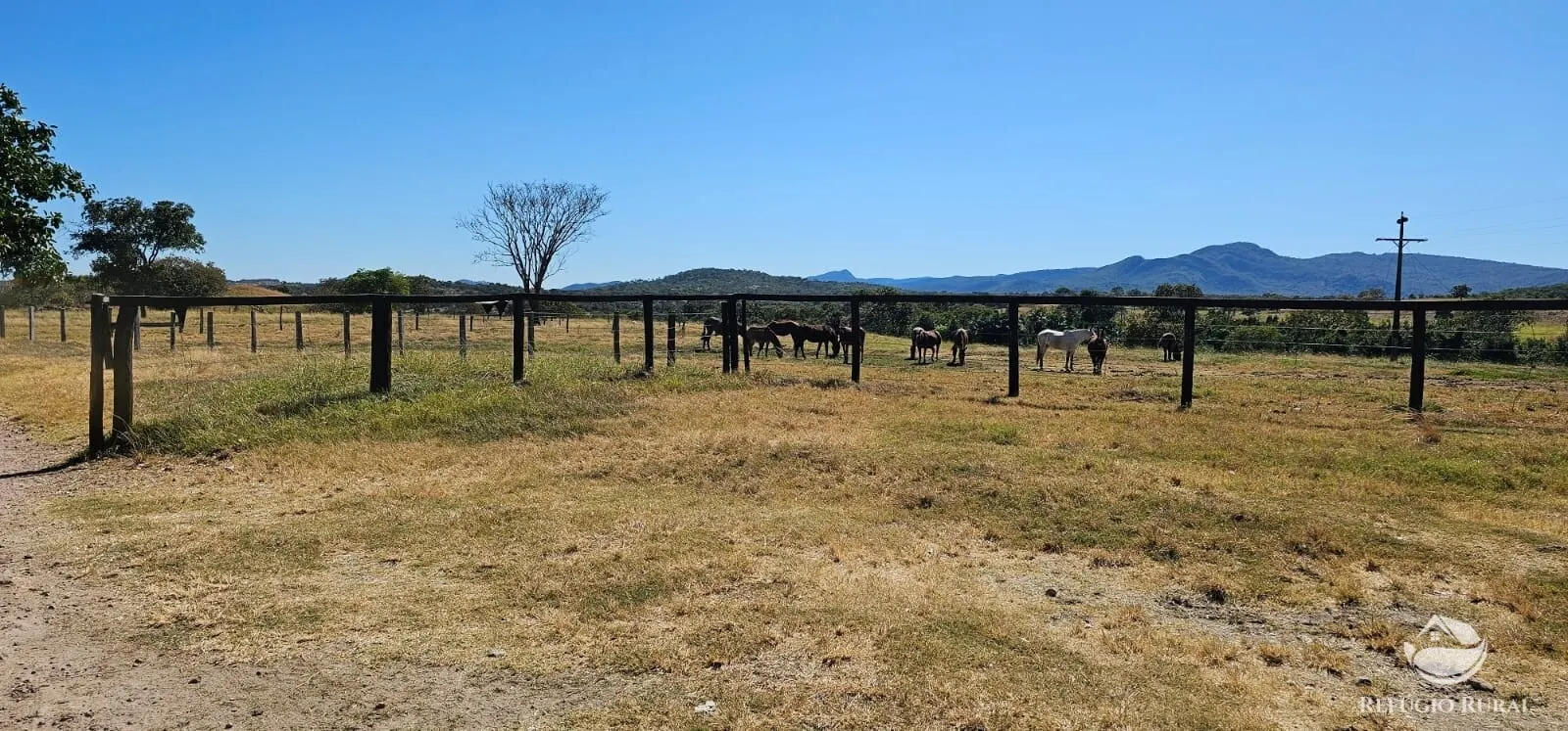 Fazenda à venda de 667 ha em Goiás, GO, Brasil