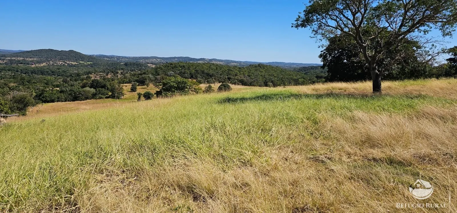 Fazenda à venda de 667 ha em Goiás, GO, Brasil