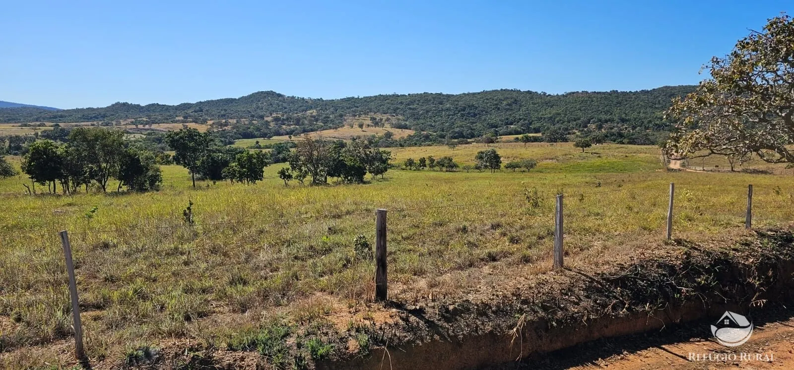 Fazenda à venda de 667 ha em Goiás, GO, Brasil