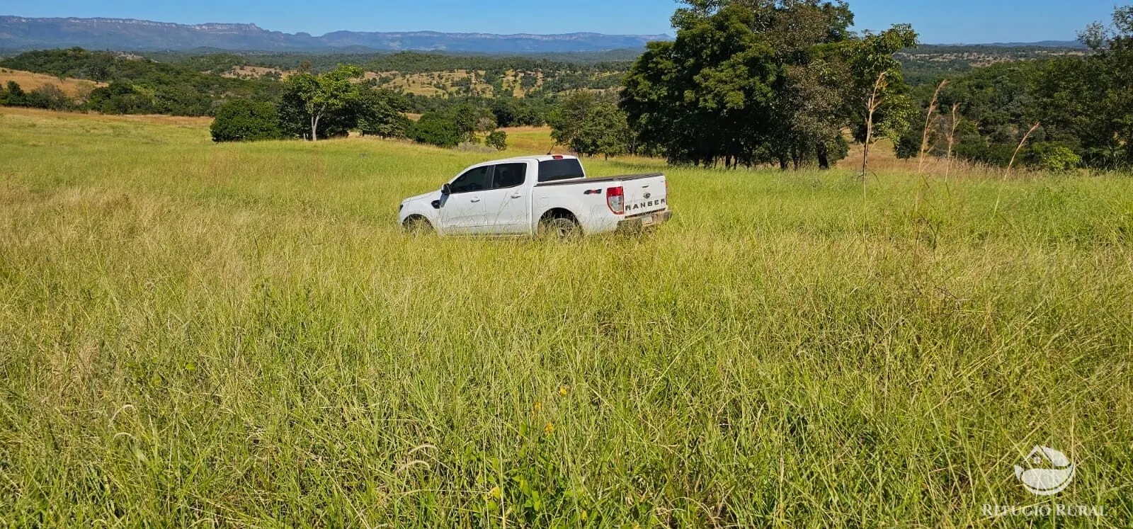 Fazenda à venda de 667 ha em Goiás, GO, Brasil