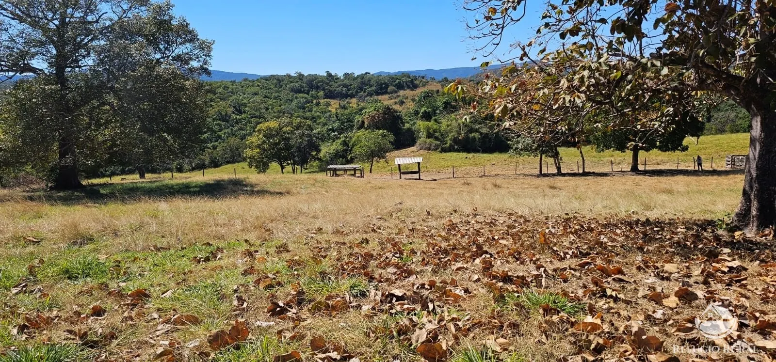 Fazenda à venda de 667 ha em Goiás, GO, Brasil
