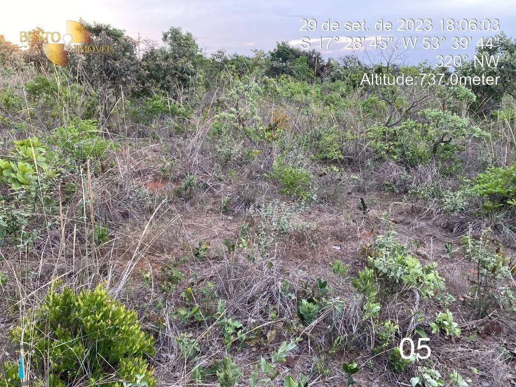 Fazenda à venda de 5.790 ha em Alto Araguaia, MT, Brasil