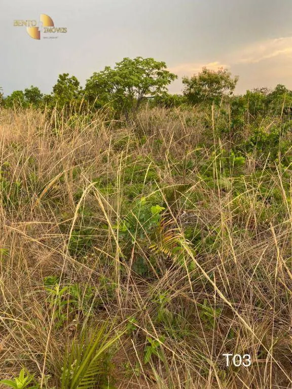 Fazenda à venda de 5.790 ha em Alto Araguaia, MT, Brasil