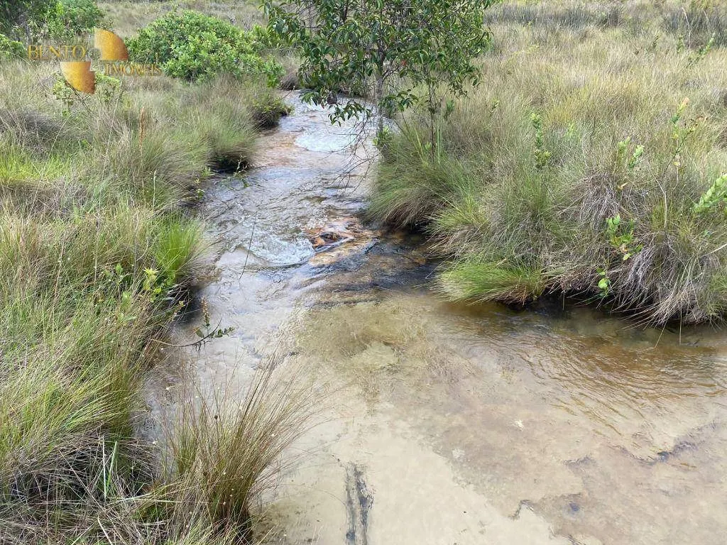 Fazenda à venda de 5.790 ha em Alto Araguaia, MT, Brasil