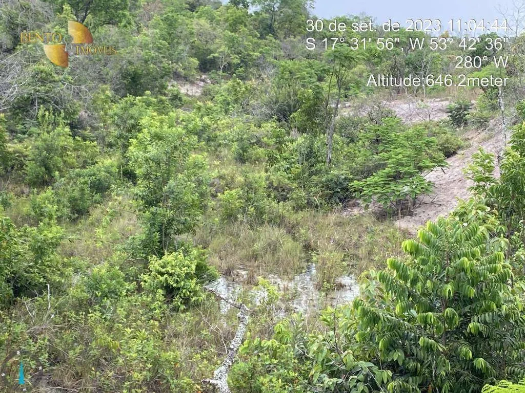Fazenda à venda de 5.790 ha em Alto Araguaia, MT, Brasil