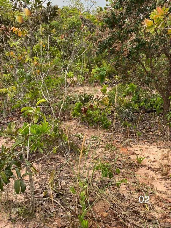 Fazenda à venda de 5.790 ha em Alto Araguaia, MT, Brasil