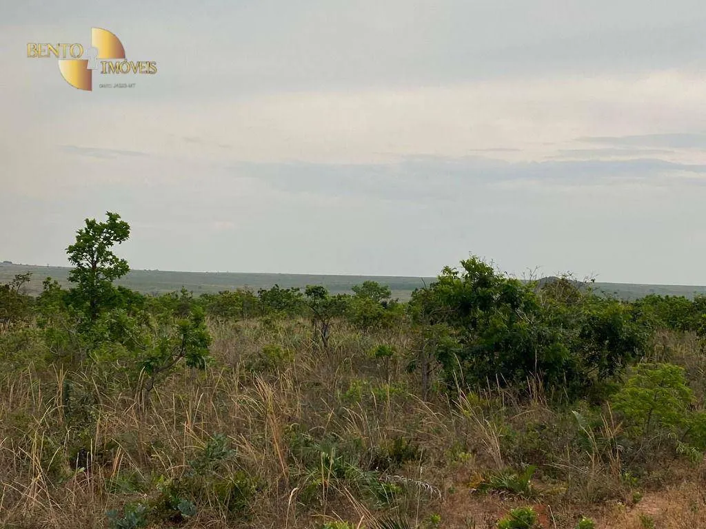 Fazenda à venda de 5.790 ha em Alto Araguaia, MT, Brasil