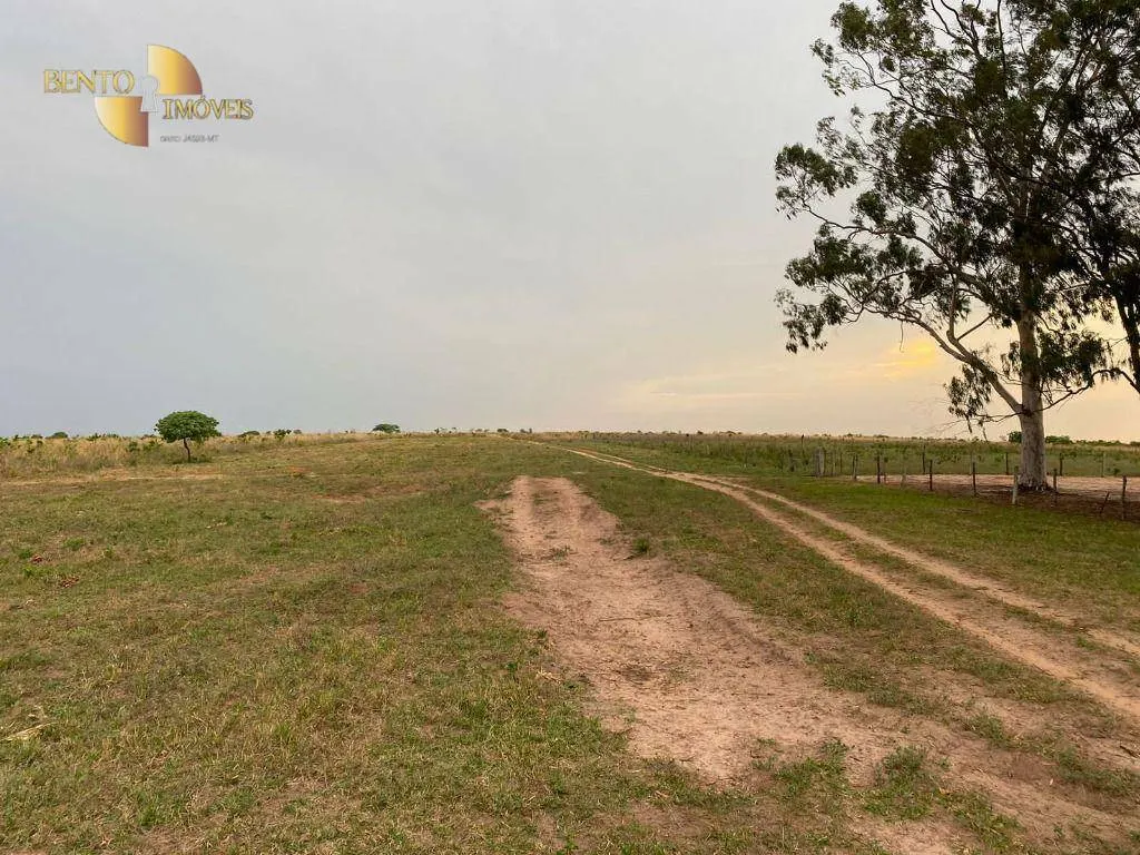 Fazenda à venda de 5.790 ha em Alto Araguaia, MT, Brasil