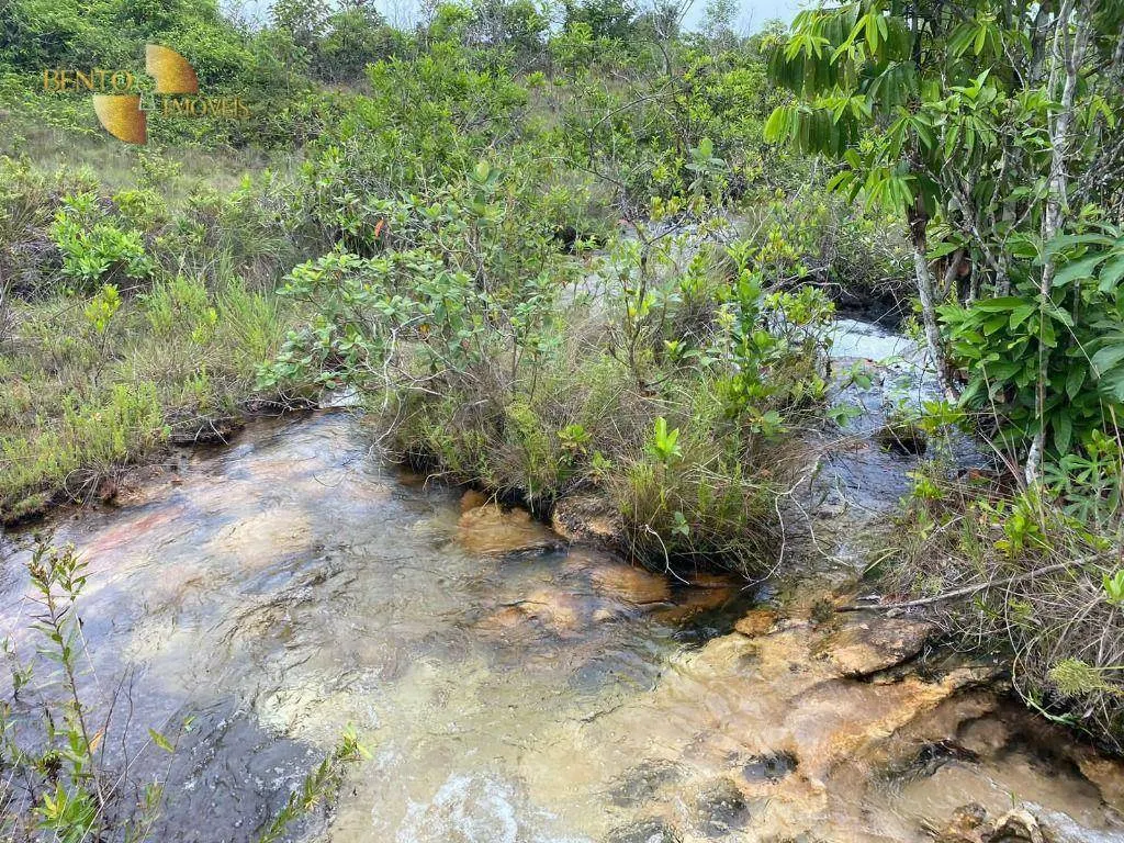 Fazenda à venda de 5.790 ha em Alto Araguaia, MT, Brasil