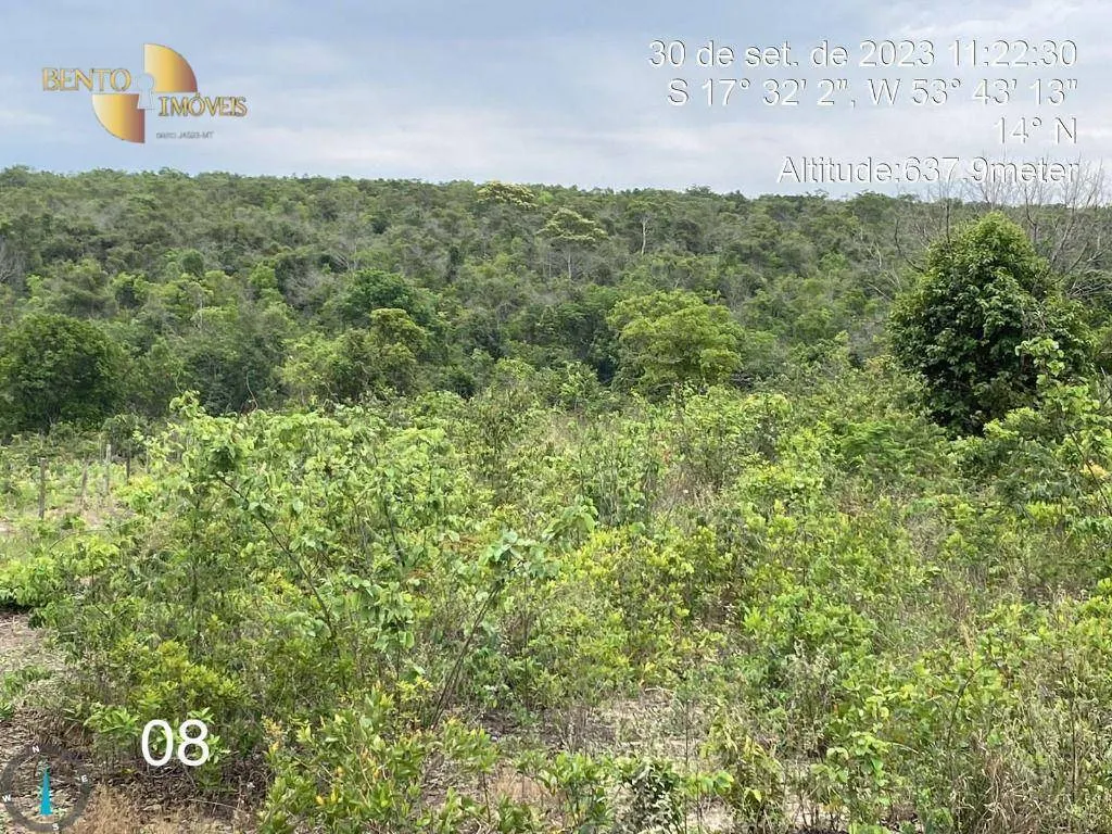 Fazenda à venda de 5.790 ha em Alto Araguaia, MT, Brasil