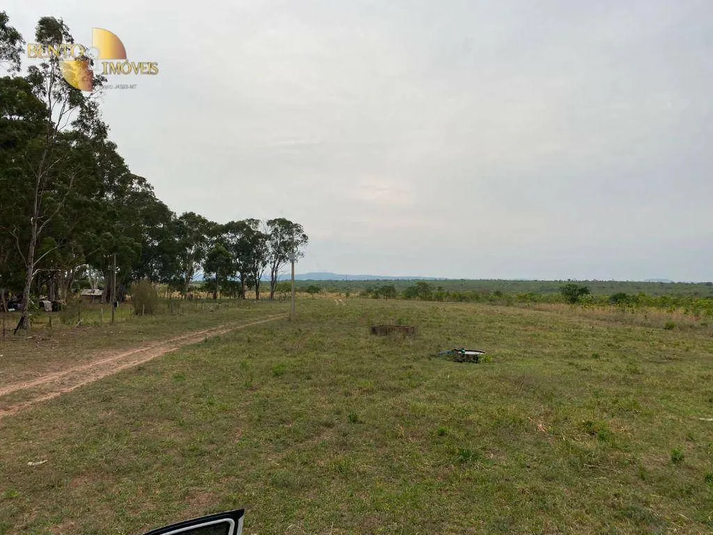 Fazenda à venda de 5.790 ha em Alto Araguaia, MT, Brasil