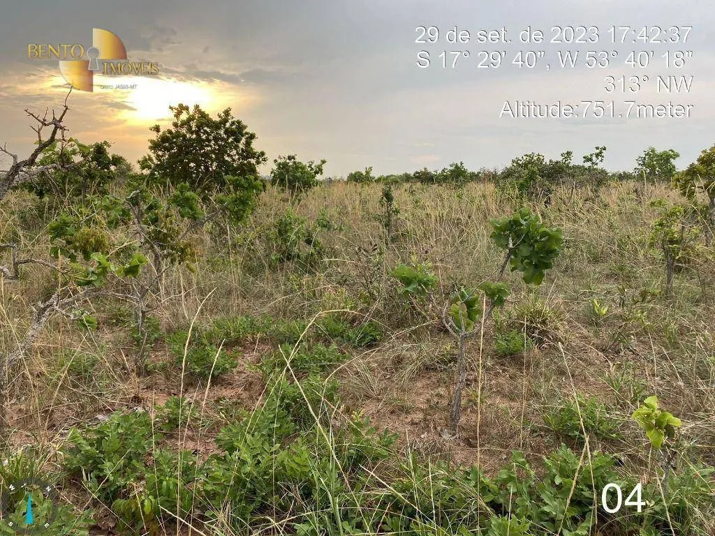 Fazenda à venda de 5.790 ha em Alto Araguaia, MT, Brasil
