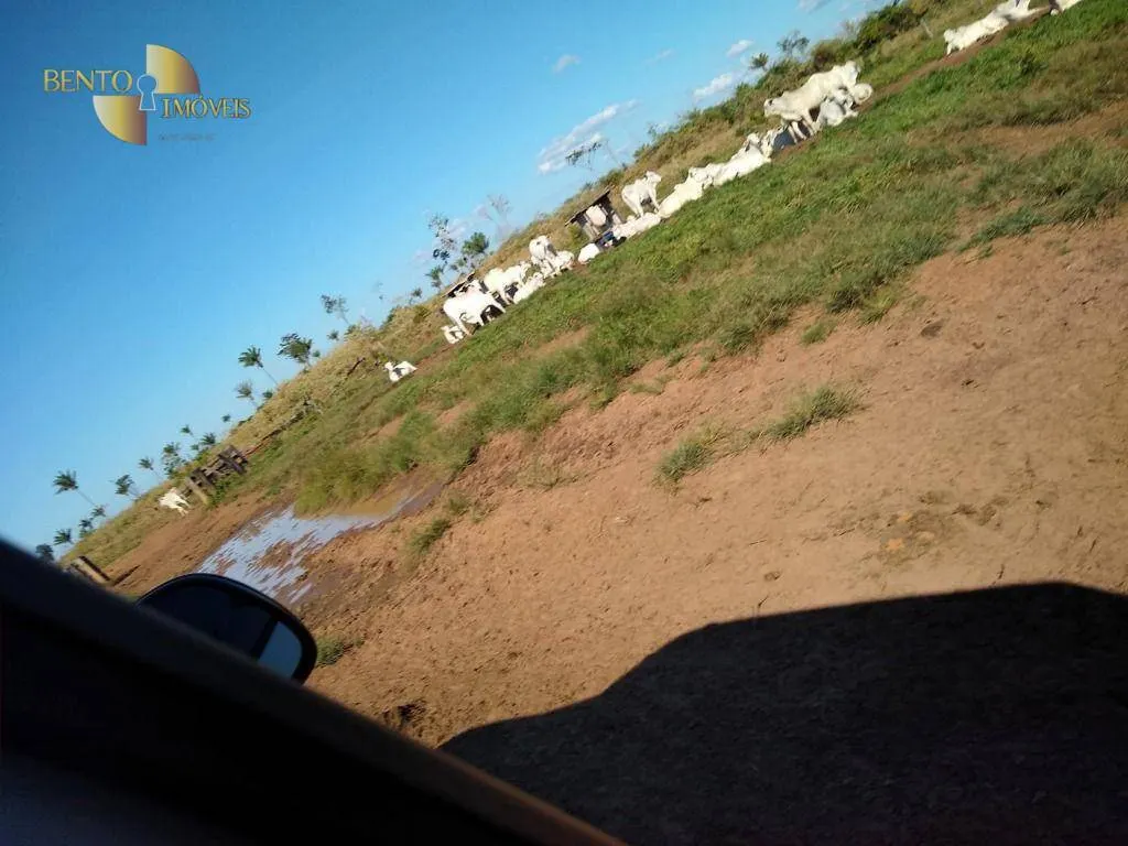 Fazenda à venda de 2.500 ha em Tapurah, MT, Brasil