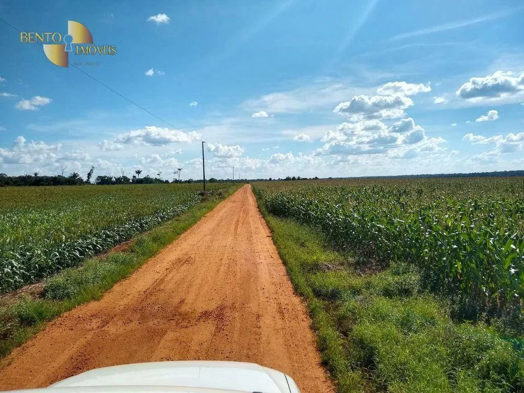 Fazenda à venda de 2.500 ha em Tapurah, MT, Brasil