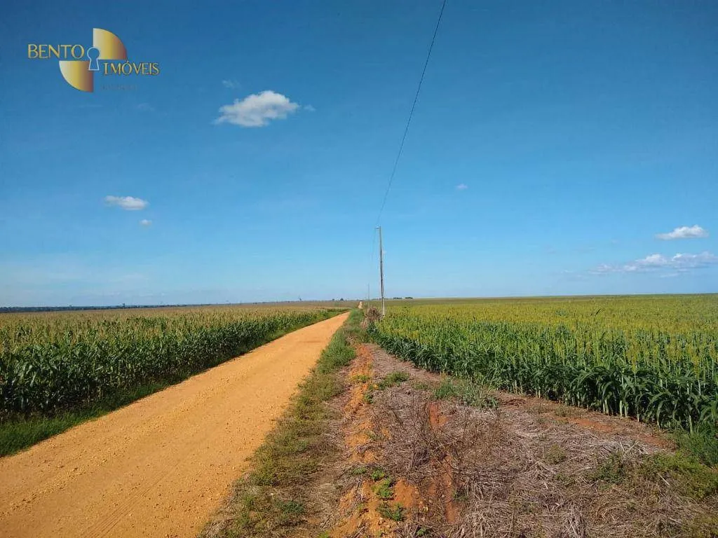 Fazenda à venda de 2.500 ha em Tapurah, MT, Brasil