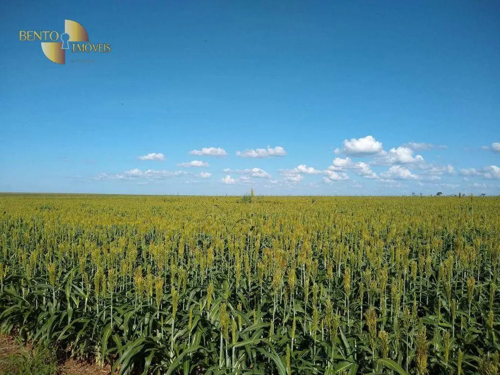Fazenda à venda de 2.500 ha em Tapurah, MT, Brasil