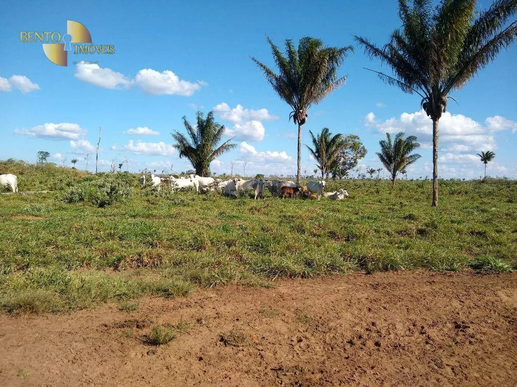 Fazenda à venda de 2.500 ha em Tapurah, MT, Brasil