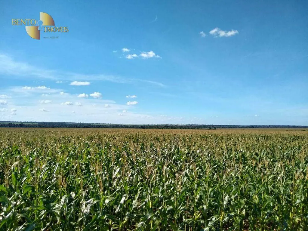 Fazenda à venda de 2.500 ha em Tapurah, MT, Brasil