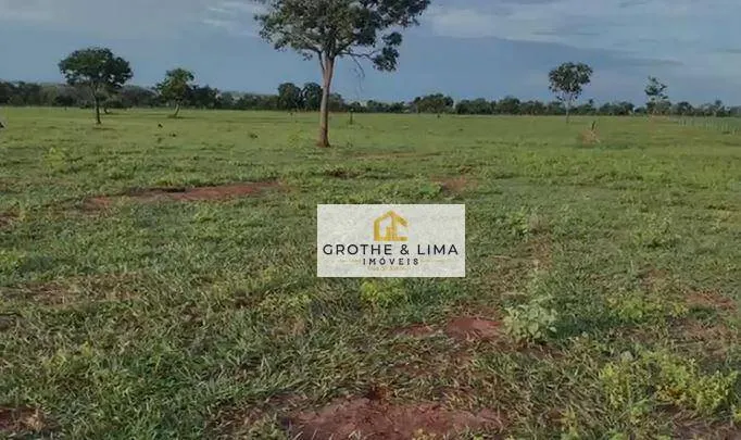 Fazenda à venda de 629 ha em Padre Bernardo, GO, Brasil