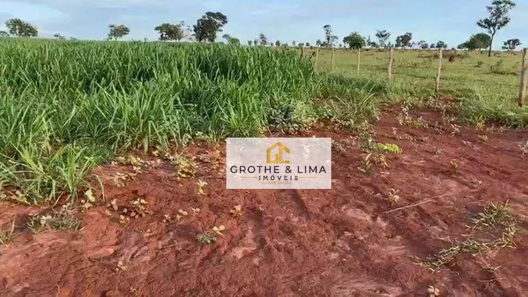 Fazenda à venda de 629 ha em Padre Bernardo, GO, Brasil