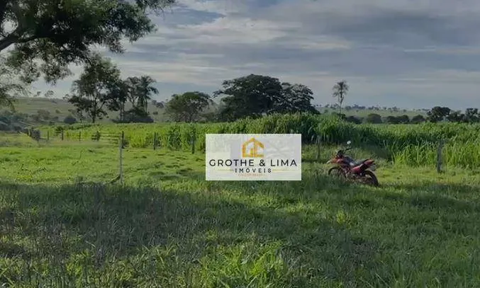 Fazenda à venda de 629 ha em Padre Bernardo, GO, Brasil