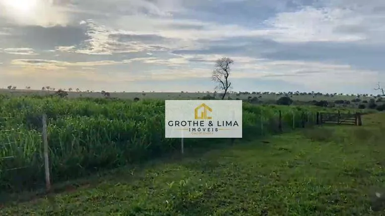Fazenda à venda de 629 ha em Padre Bernardo, GO, Brasil