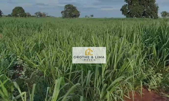 Fazenda à venda de 629 ha em Padre Bernardo, GO, Brasil