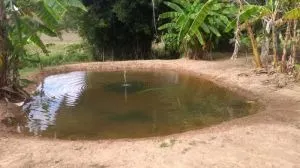 Fazenda à venda de 252 ha em Silveiras, SP, Brasil
