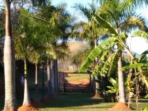 Fazenda à venda de 252 ha em Silveiras, SP, Brasil