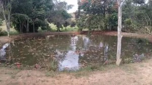 Fazenda à venda de 252 ha em Silveiras, SP, Brasil
