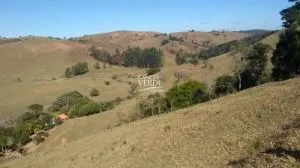 Fazenda à venda de 252 ha em Silveiras, SP, Brasil