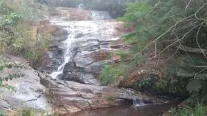 Fazenda à venda de 252 ha em Silveiras, SP, Brasil