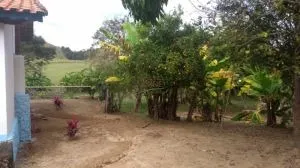 Fazenda à venda de 252 ha em Silveiras, SP, Brasil