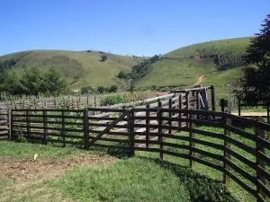 Fazenda à venda de 252 ha em Silveiras, SP, Brasil
