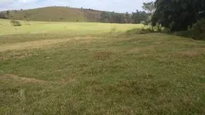Fazenda à venda de 252 ha em Silveiras, SP, Brasil