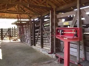 Fazenda à venda de 252 ha em Silveiras, SP, Brasil