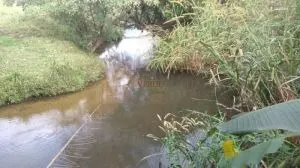 Fazenda à venda de 252 ha em Silveiras, SP, Brasil