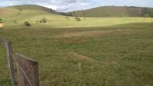 Fazenda à venda de 252 ha em Silveiras, SP, Brasil
