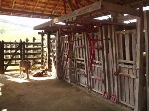Fazenda à venda de 252 ha em Silveiras, SP, Brasil