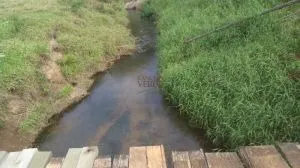 Fazenda à venda de 252 ha em Silveiras, SP, Brasil