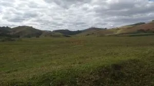 Fazenda à venda de 252 ha em Silveiras, SP, Brasil