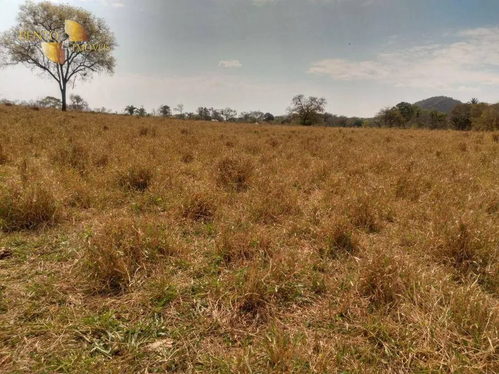 Fazenda à venda de 633 ha em Cuiabá, MT, Brasil
