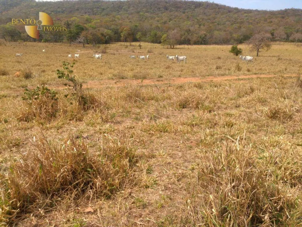 Fazenda à venda de 633 ha em Cuiabá, MT, Brasil