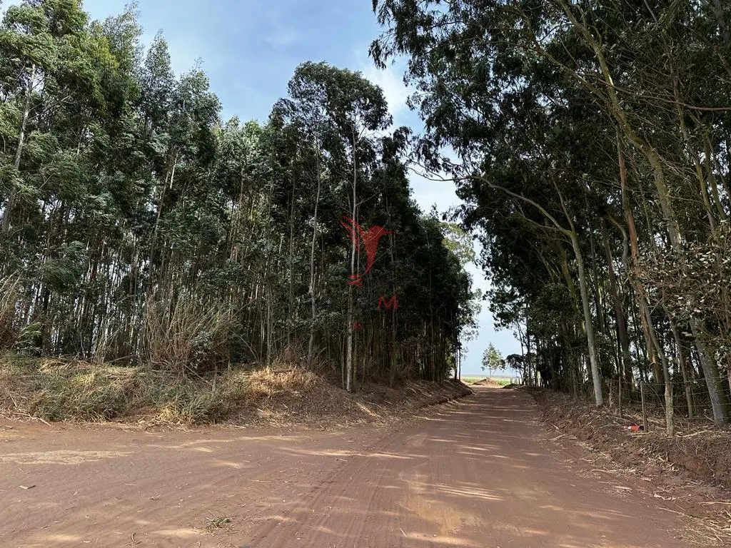Sítio à venda de 17 ha em Brotas, SP, Brasil