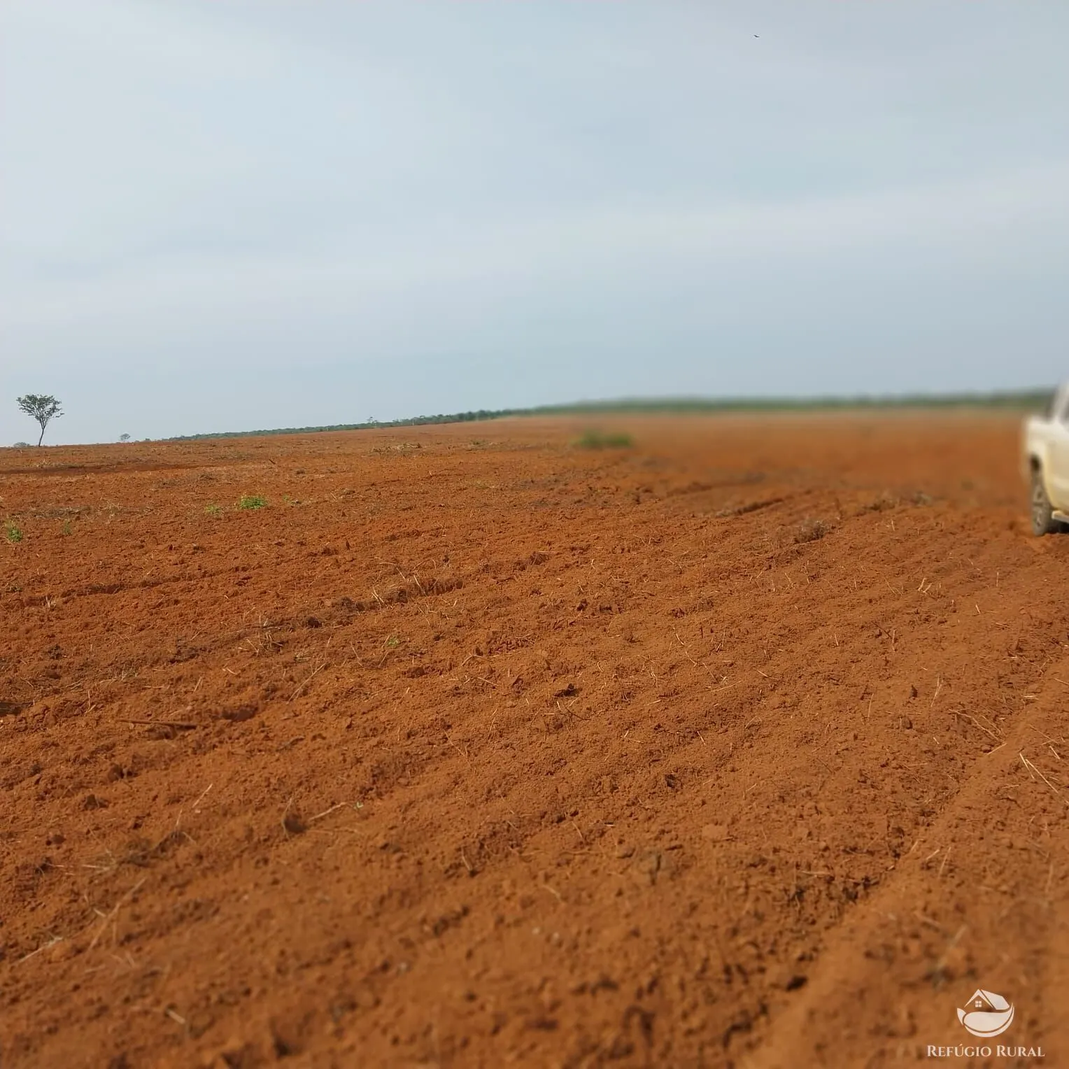 Fazenda à venda de 5.200 ha em Paranatinga, MT, Brasil