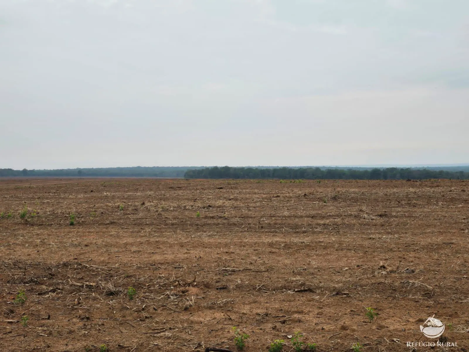 Fazenda à venda de 5.200 ha em Paranatinga, MT, Brasil