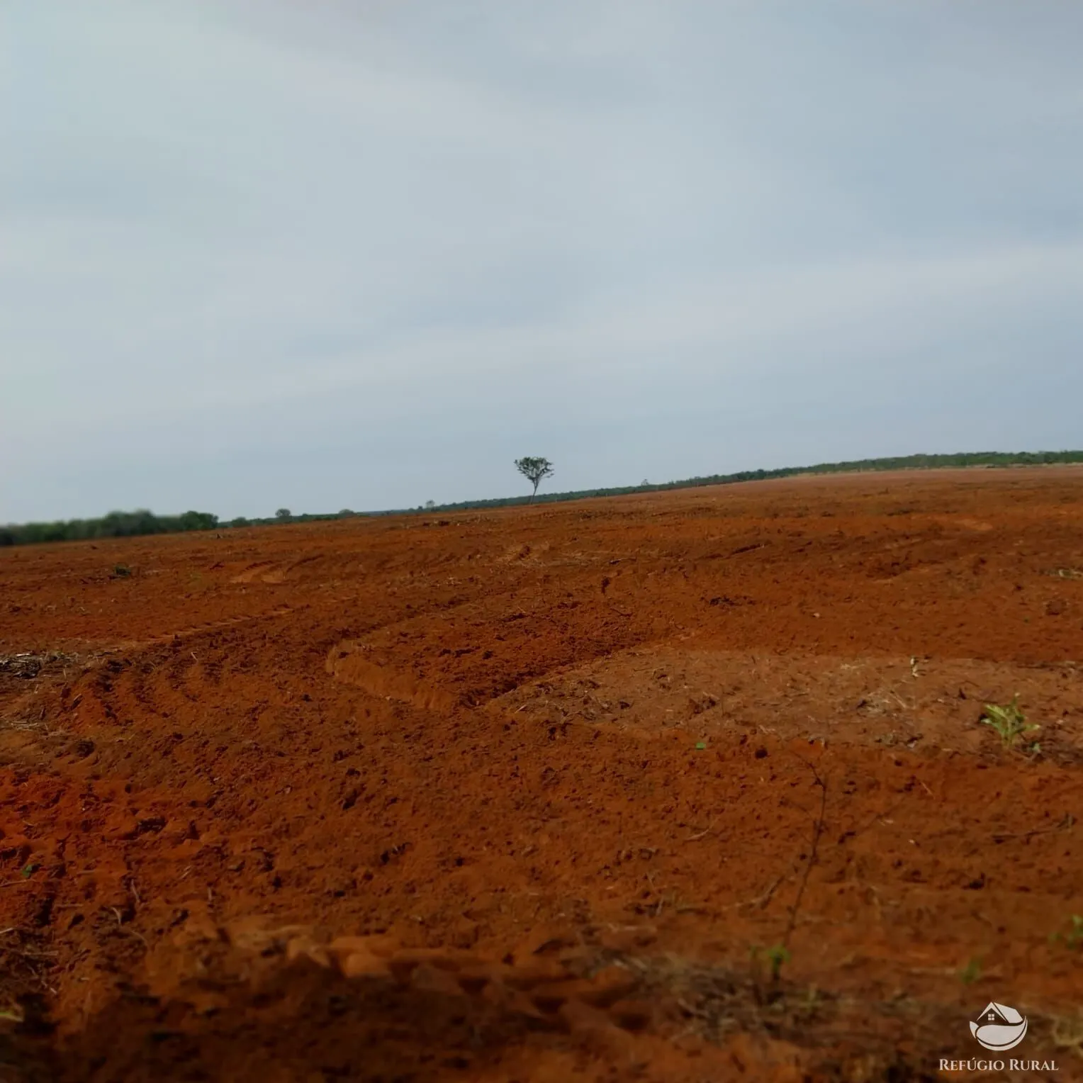 Fazenda à venda de 5.200 ha em Paranatinga, MT, Brasil