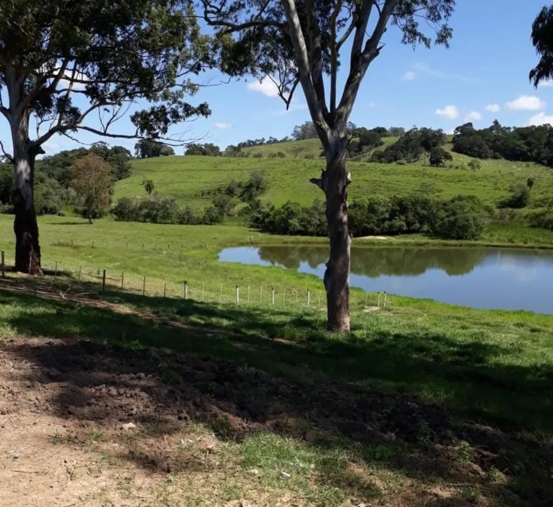 Fazenda à venda de 300 ha em Itapetininga, SP, Brasil