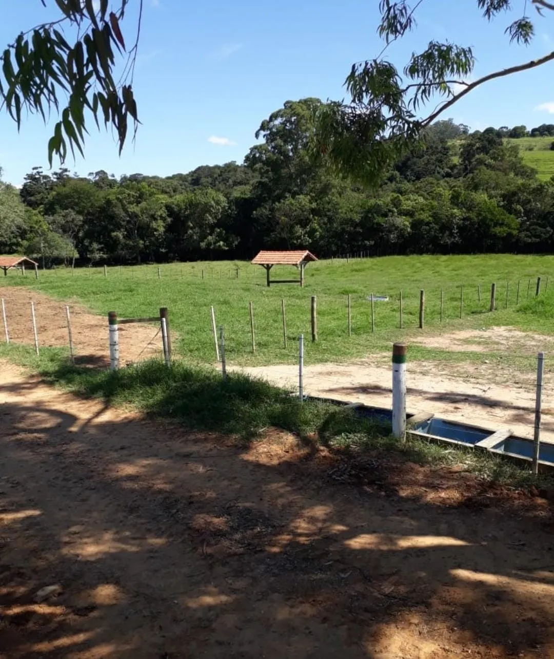 Fazenda à venda de 300 ha em Itapetininga, SP, Brasil