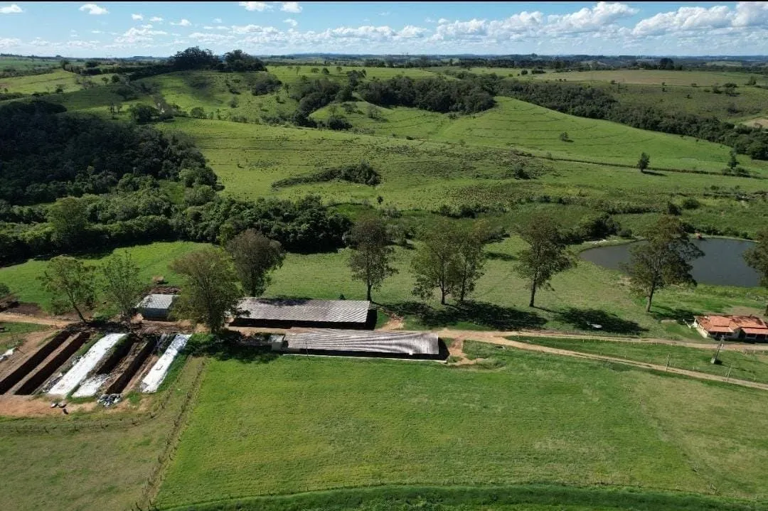 Fazenda à venda de 300 ha em Itapetininga, SP, Brasil